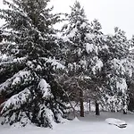 U Stasikow *