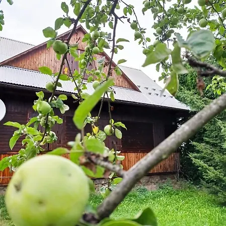 Çiftlik konaklama U Stasikow Spytkowice (Nowy Targ)